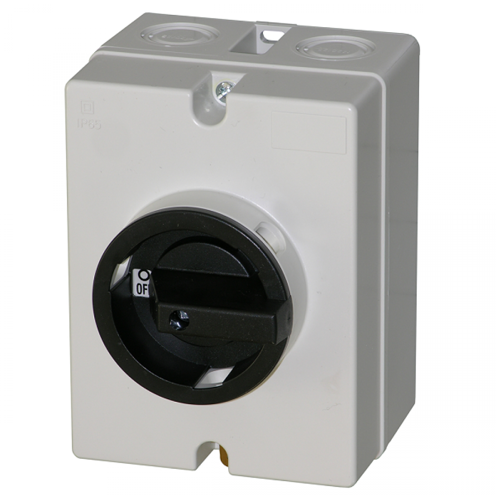 Isolator 4P, 20A, Grey enclosure  IP65<span class=' ItemWarning' style='display:block;'>Item is usually in stock, but we&#39;ll be in touch if there&#39;s a problem<br /></span>
