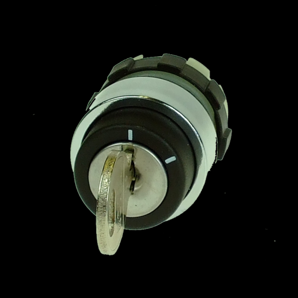 Key Switch, 2 Position Maintained<span class=' ItemWarning' style='display:block;'>Item is usually in stock, but we&#39;ll be in touch if there&#39;s a problem<br /></span>