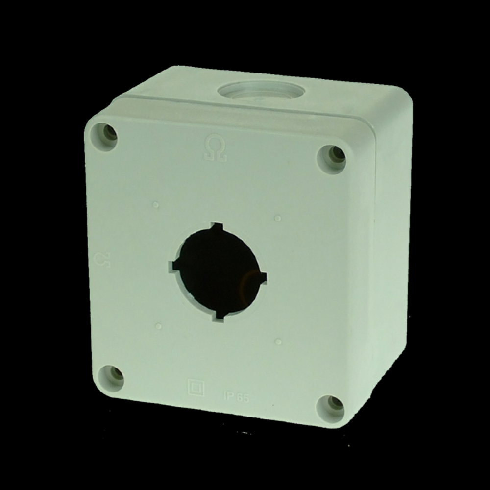PUSHBUTTON ENCLOSURE 1 HOLE,GRY<span class=' ItemWarning' style='display:block;'>Item is usually in stock, but we&#39;ll be in touch if there&#39;s a problem<br /></span>