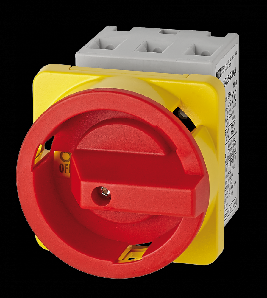 PNL MNT ISOLATOR,3P,100A C/WITH<span class=' ItemWarning' style='display:block;'>Item is usually in stock, but we&#39;ll be in touch if there&#39;s a problem<br /></span>