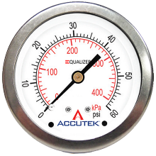 Fairview Ltd PG-3000ZRCD25 - 1/4 NPT BRASS BACK MOUNT STAINLESS STEEL EQUALIZER GAUGE