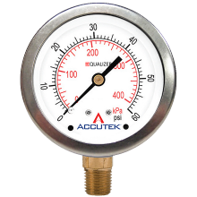 Fairview Ltd PG-3000ZRSD25 - 1/4 NPT BRASS STEM MOUNT STAINLESS STEEL EQUALIZER GAUGE