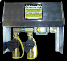 Fairview Ltd NG-OUTLET-2LBLP-DUAL-L - DUAL OUTLET WITH STAINLESS COVER