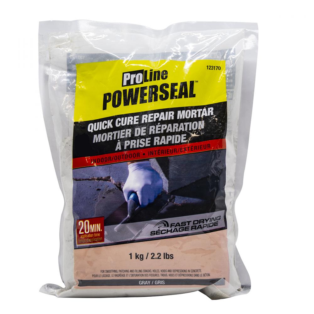 Proline Quick Cure Pre-Mixed Repair Mortar 1Kg Gray<span class=' ItemWarning' style='display:block;'>Item is usually in stock, but we&#39;ll be in touch if there&#39;s a problem<br /></span>