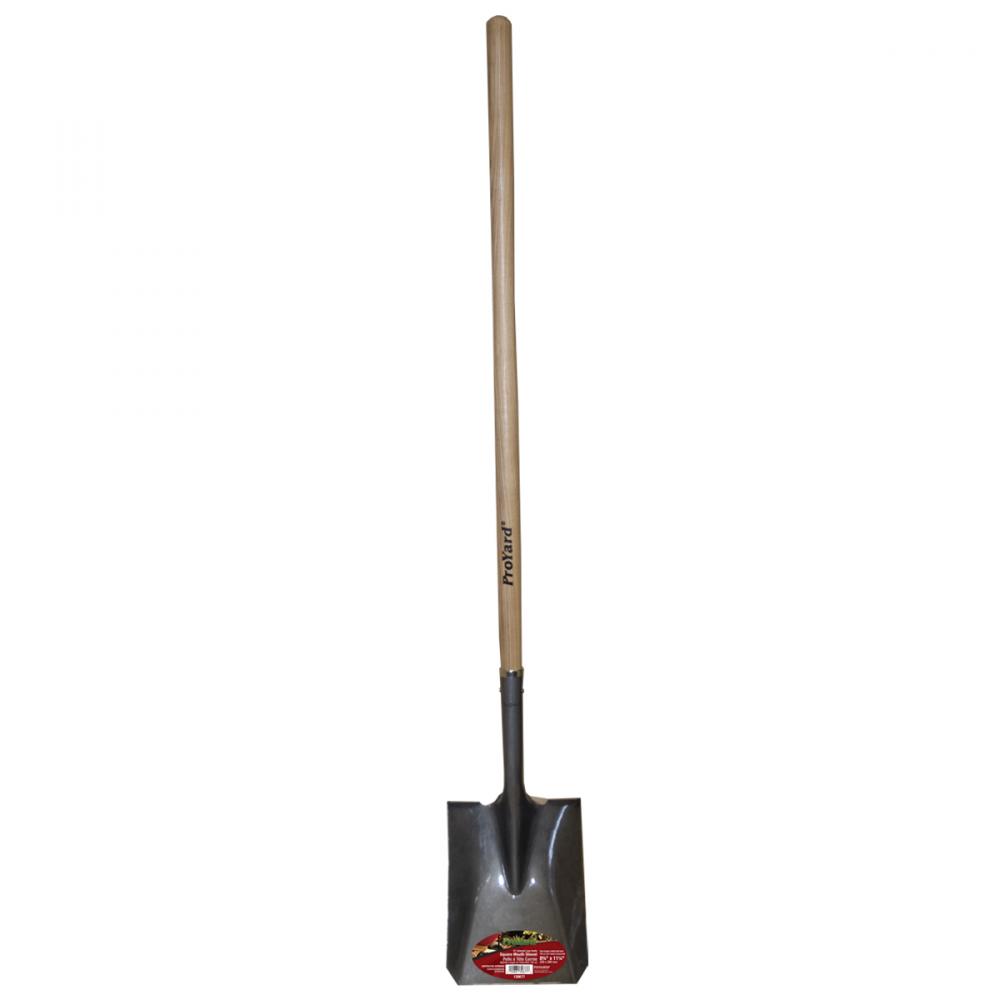Shovel Square Mouth 59in x 8-1/2in Blade Ashwood L-Handle<span class=' ItemWarning' style='display:block;'>Item is usually in stock, but we&#39;ll be in touch if there&#39;s a problem<br /></span>
