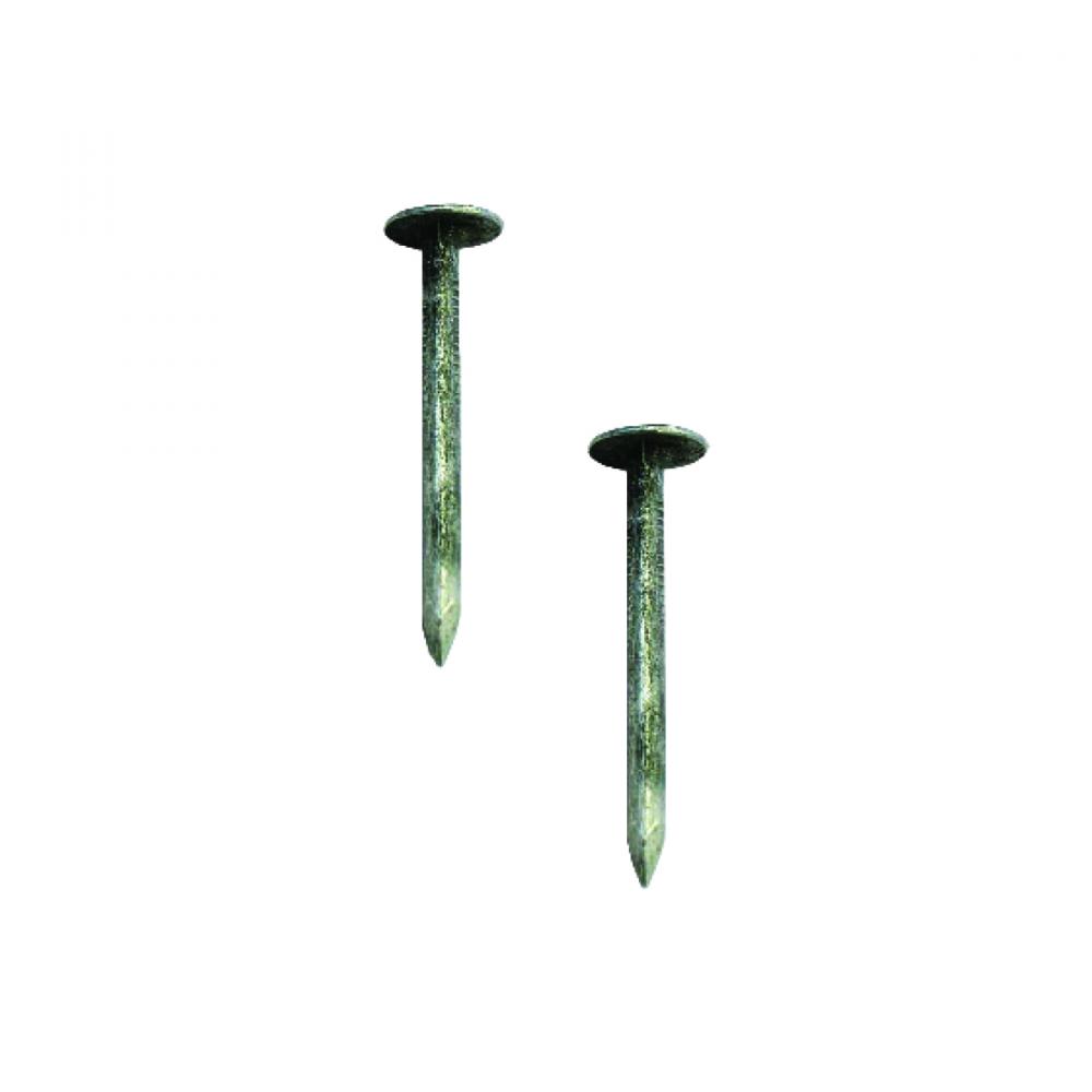 Roofing Nail  HD Galv 1in 1lbs (400g)/pk<span class=' ItemWarning' style='display:block;'>Item is usually in stock, but we&#39;ll be in touch if there&#39;s a problem<br /></span>
