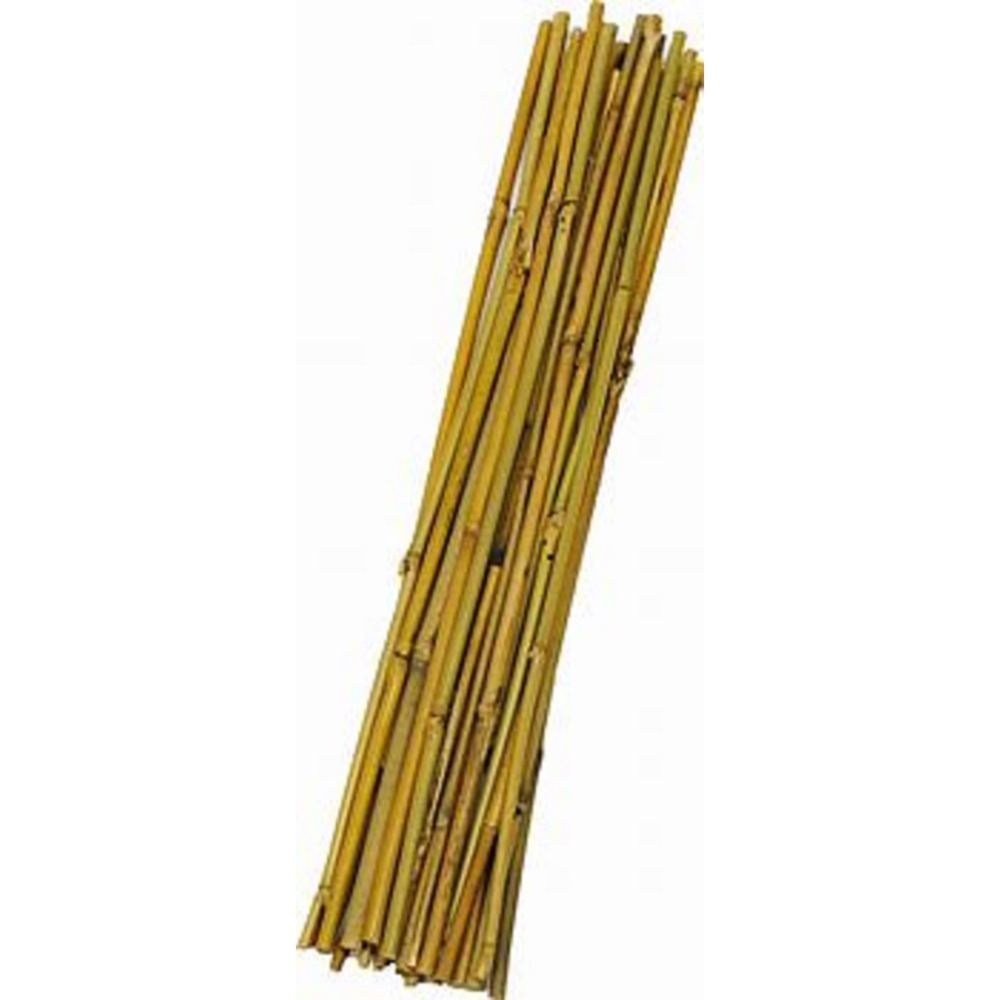 Bamboo Garden Stake 1/4 x 24in 15PC<span class=' ItemWarning' style='display:block;'>Item is usually in stock, but we&#39;ll be in touch if there&#39;s a problem<br /></span>