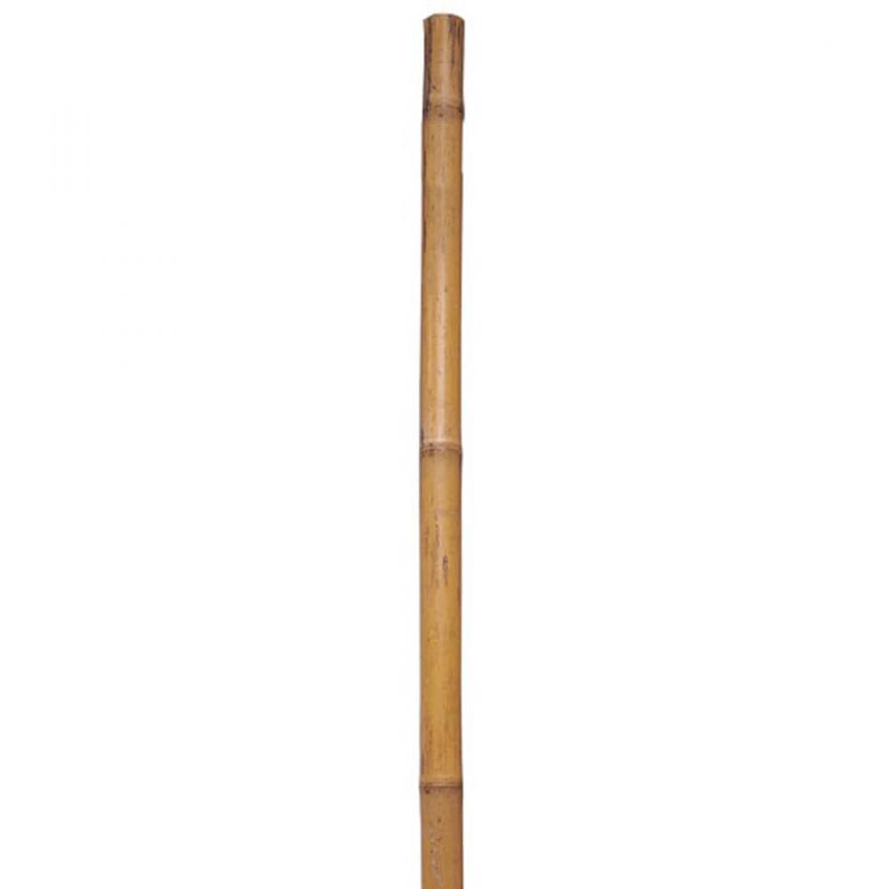Bamboo Garden Stake 1/2 x 60in 6PC<span class=' ItemWarning' style='display:block;'>Item is usually in stock, but we&#39;ll be in touch if there&#39;s a problem<br /></span>