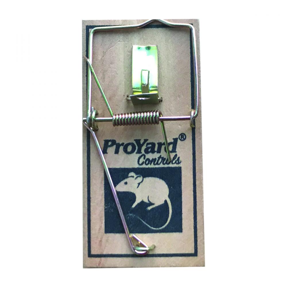 Mouse Trap Wooden Snap Quick Action 2pk<span class=' ItemWarning' style='display:block;'>Item is usually in stock, but we&#39;ll be in touch if there&#39;s a problem<br /></span>