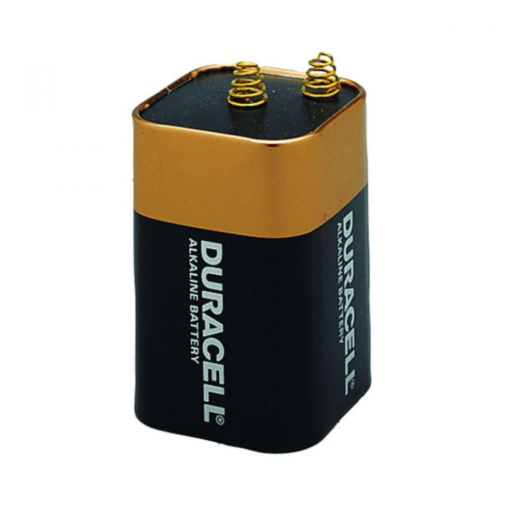Duracell Alkaline Battery 6 Volt<span class=' ItemWarning' style='display:block;'>Item is usually in stock, but we&#39;ll be in touch if there&#39;s a problem<br /></span>