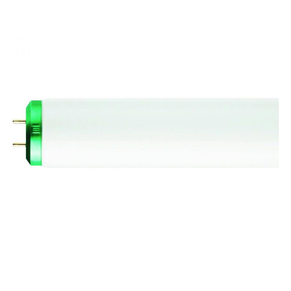 T12 Fluorescent Tube 34W 2-Pin 4100K Cool White 48in<span class=' ItemWarning' style='display:block;'>Item is usually in stock, but we&#39;ll be in touch if there&#39;s a problem<br /></span>