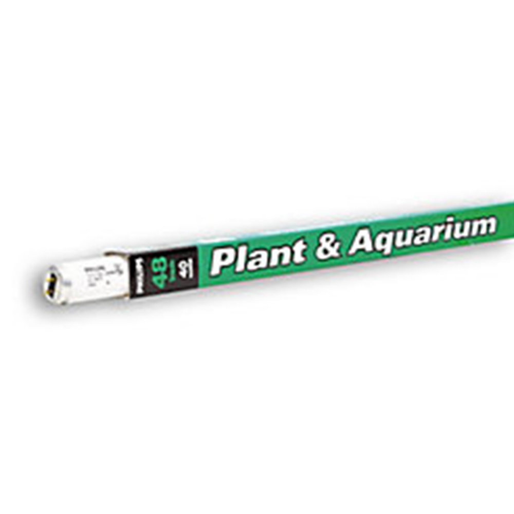 Bulb F40T12/Agro 40W Flourescent Grow Lamp<span class=' ItemWarning' style='display:block;'>Item is usually in stock, but we&#39;ll be in touch if there&#39;s a problem<br /></span>