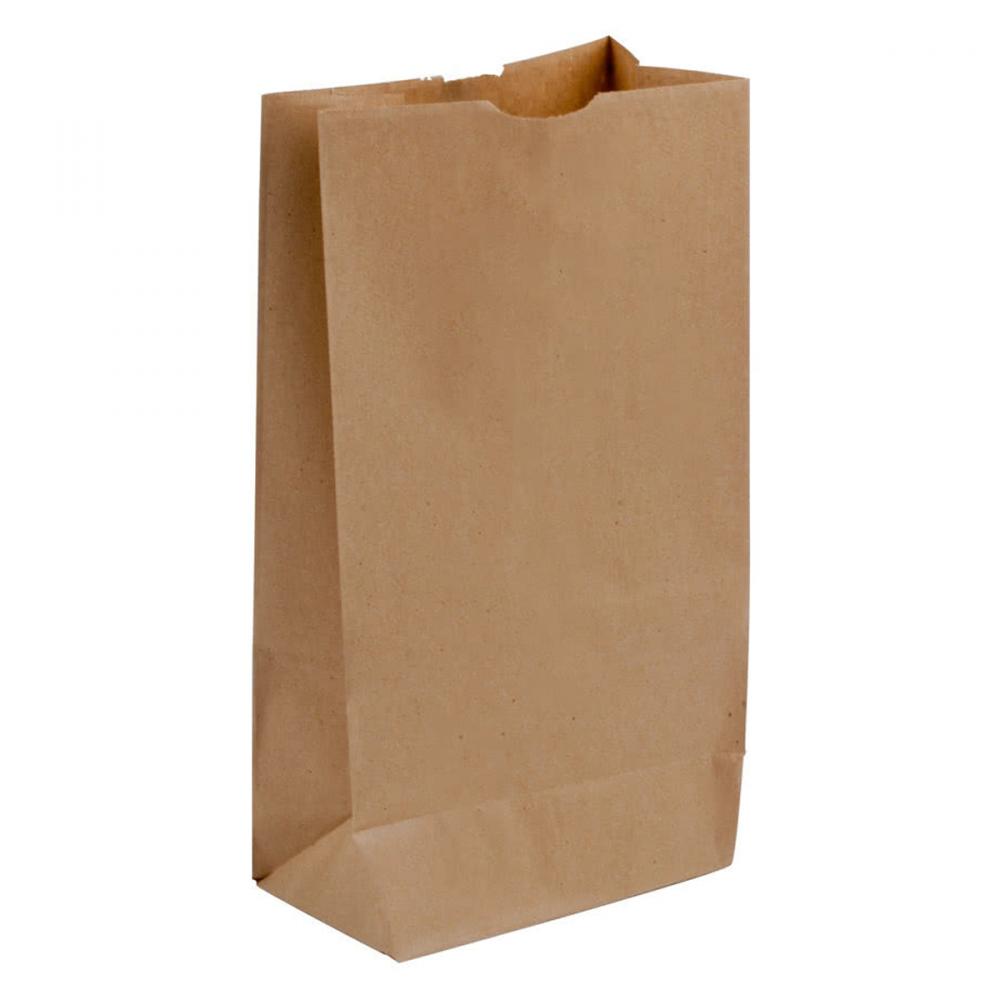 500PK Brown Paper Shopping Bags 5lb<span class=' ItemWarning' style='display:block;'>Item is usually in stock, but we&#39;ll be in touch if there&#39;s a problem<br /></span>
