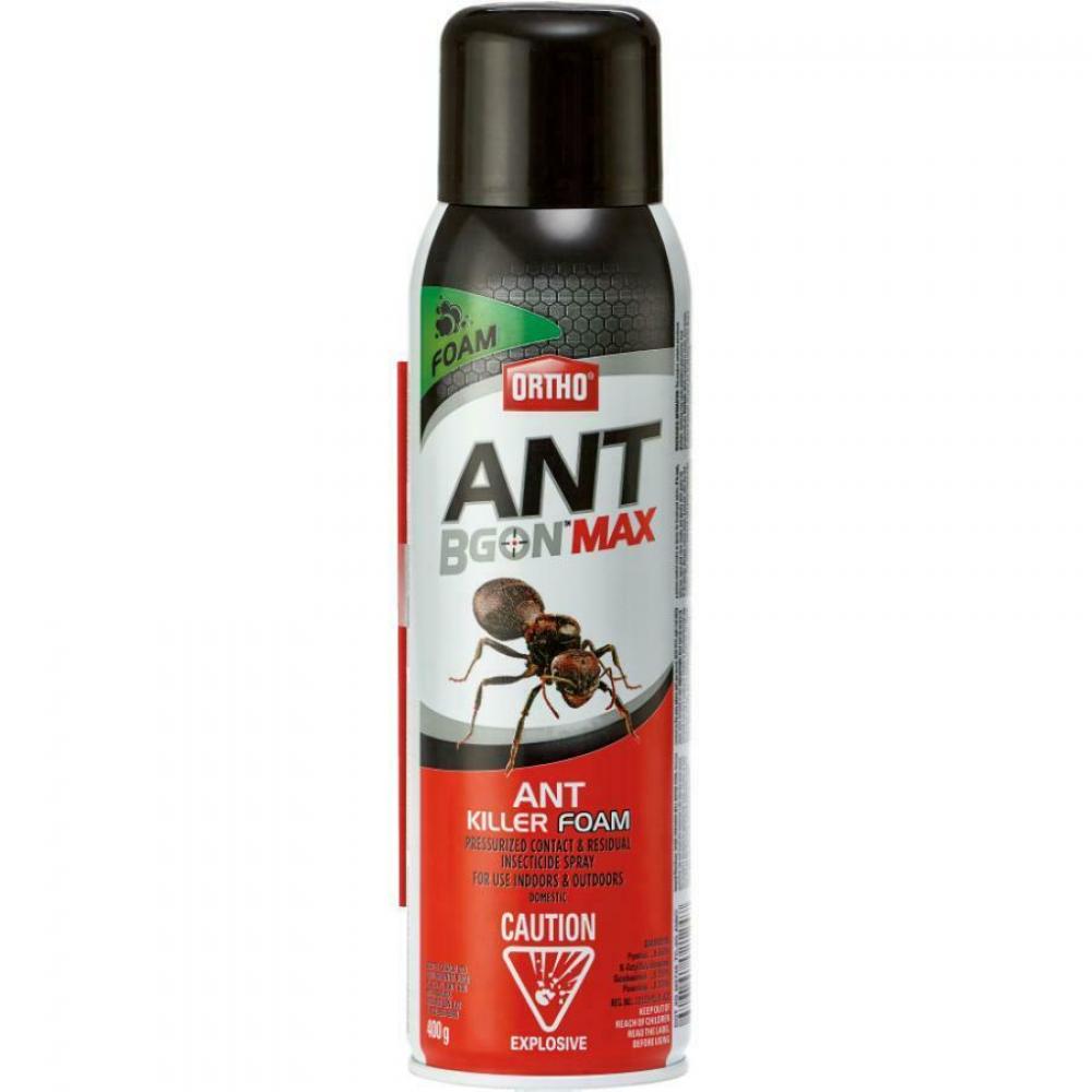 Ant B Gon Max Ant Killer Foam 400g<span class=' ItemWarning' style='display:block;'>Item is usually in stock, but we&#39;ll be in touch if there&#39;s a problem<br /></span>