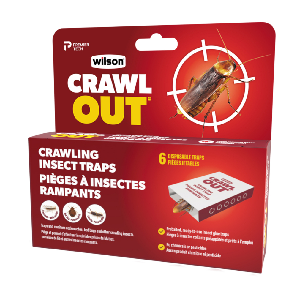 CrawlOut Insect Trap 6PK<span class=' ItemWarning' style='display:block;'>Item is usually in stock, but we&#39;ll be in touch if there&#39;s a problem<br /></span>