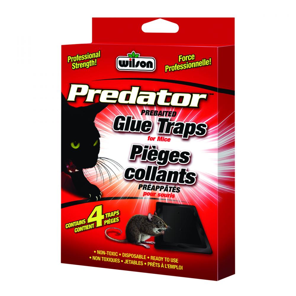 Predator Mouse Glue Trap 4 EA<span class=' ItemWarning' style='display:block;'>Item is usually in stock, but we&#39;ll be in touch if there&#39;s a problem<br /></span>