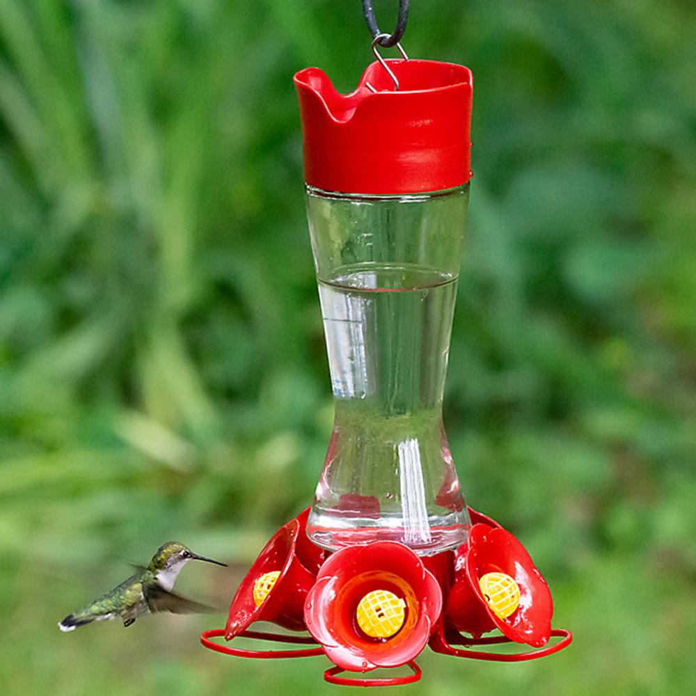 Hummingbird Feeder Glass Pinch Waist Wide Mouth 16oz<span class=' ItemWarning' style='display:block;'>Item is usually in stock, but we&#39;ll be in touch if there&#39;s a problem<br /></span>