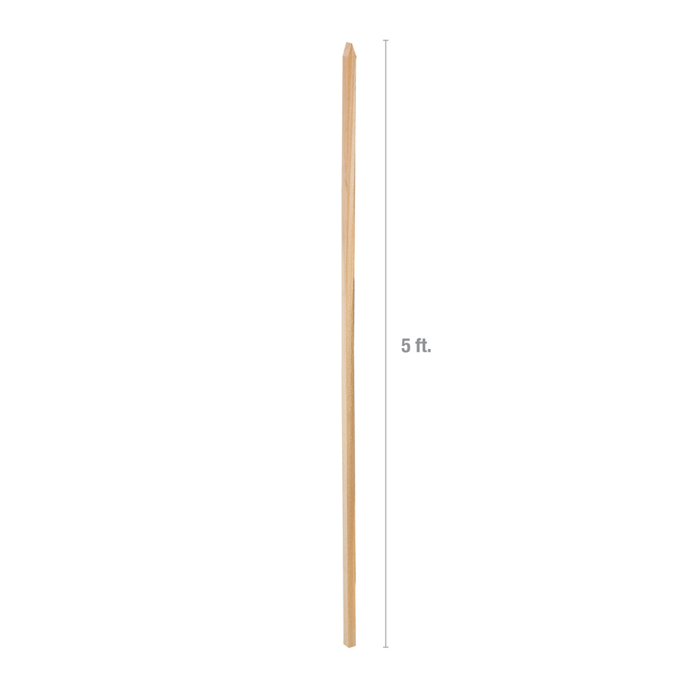 Plant Support Hardwood Stake 60in<span class=' ItemWarning' style='display:block;'>Item is usually in stock, but we&#39;ll be in touch if there&#39;s a problem<br /></span>