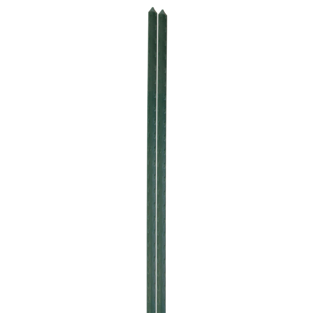 Plant Support PE Coated Metal Stake 36in Green<span class=' ItemWarning' style='display:block;'>Item is usually in stock, but we&#39;ll be in touch if there&#39;s a problem<br /></span>