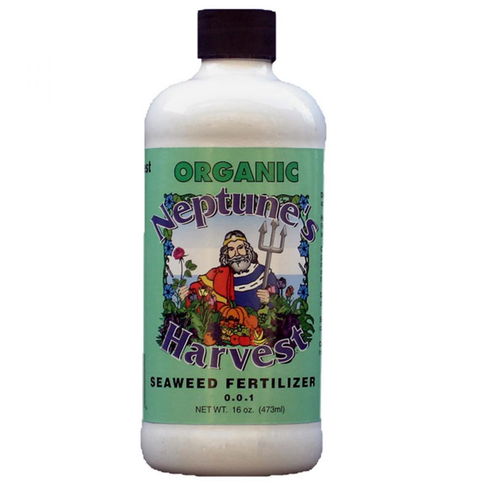 Seaweed Plant Food 0-0-1 16oz<span class=' ItemWarning' style='display:block;'>Item is usually in stock, but we&#39;ll be in touch if there&#39;s a problem<br /></span>
