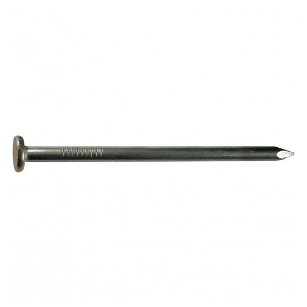 Common Nail 3 1/4in smooth shank 13.64kg pail<span class=' ItemWarning' style='display:block;'>Item is usually in stock, but we&#39;ll be in touch if there&#39;s a problem<br /></span>