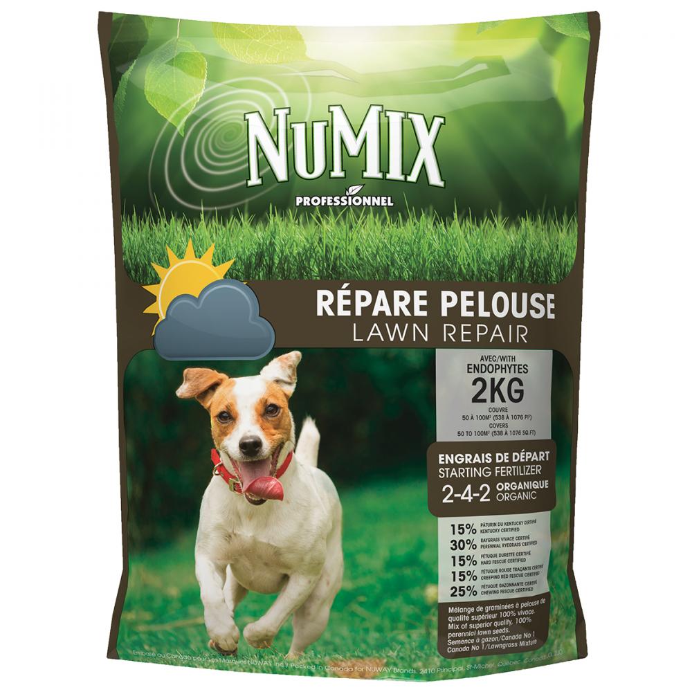 Numix Lawn Repair Mix Certified 2Kg<span class=' ItemWarning' style='display:block;'>Item is usually in stock, but we&#39;ll be in touch if there&#39;s a problem<br /></span>