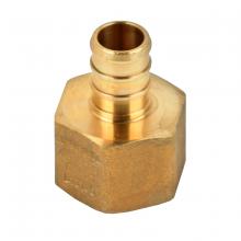 Toolway 151020 - Brass PEX Adapter ½in Barb x ½in FPT
