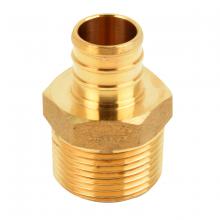 Toolway 151027 - Pex Male Adpt Barb To Mpt ¾in Barb x ¾in mpt