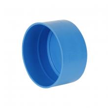 Toolway 84060262 - Abs Test Cap 4in