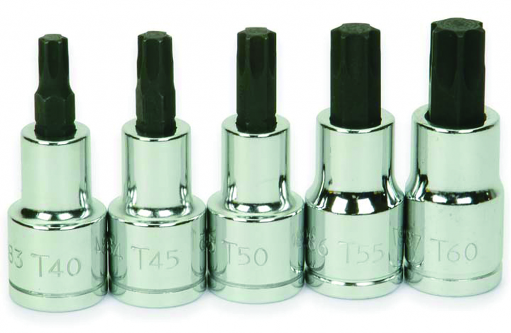 5 pc 1/2&#34; Drive Torx  Bit Socket Set on Rail and Clips<span class=' ItemWarning' style='display:block;'>Item is usually in stock, but we&#39;ll be in touch if there&#39;s a problem<br /></span>