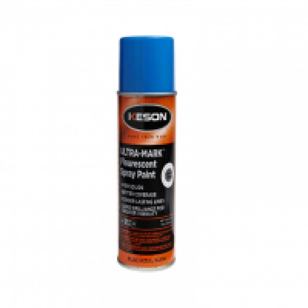SPRAY PAINT, UPSIDE DOWN, 16 OZ WHITE<span class=' ItemWarning' style='display:block;'>Item is usually in stock, but we&#39;ll be in touch if there&#39;s a problem<br /></span>