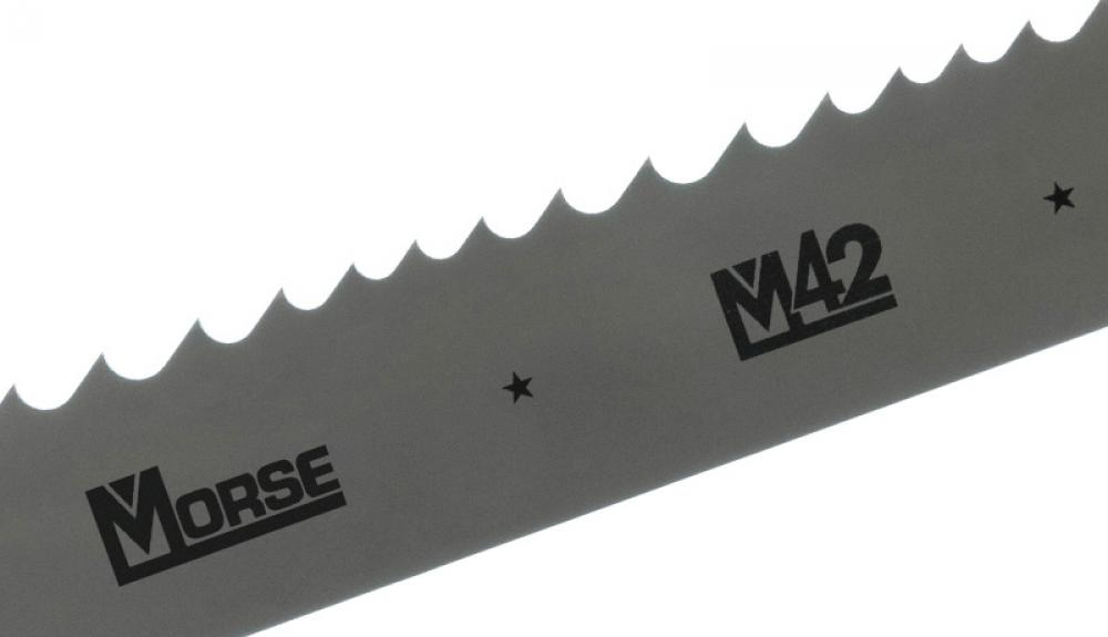BAND M42 1/2 25 8/12<span class=' ItemWarning' style='display:block;'>Item is usually in stock, but we&#39;ll be in touch if there&#39;s a problem<br /></span>