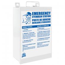 Wasip F4572701 - Metal Eyewash Cabinet with 1L Eyewash & 1L Empty Eyewash Bottle