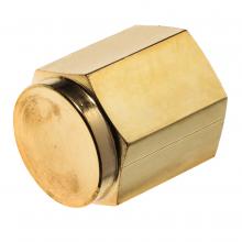 USA Sealing ZUSA-PF-5098 - Pipe Fitting - Brass - Instrumentation - Cap - 1/4" NPT Female