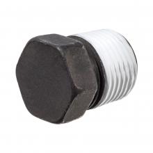 USA Sealing ZUSA-PF-6669 - Pipe Fitting w/ Thread Sealant - Black-Coated Steel - Class 3000 - Hex Head Plug