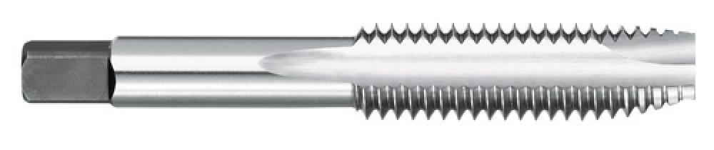 780 M6 X 1.0 D5 2FL SP/PT TAP<span class=' ItemWarning' style='display:block;'>Item is usually in stock, but we&#39;ll be in touch if there&#39;s a problem<br /></span>